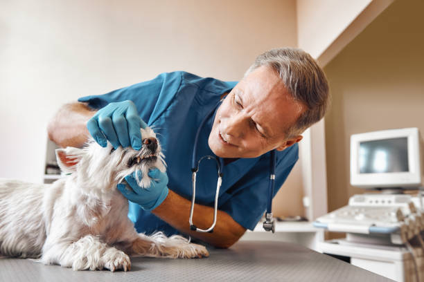 Best 24-Hour Emergency Dentist in Bay Harbor Islands, FL